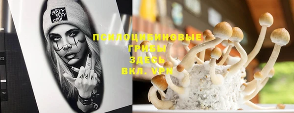 дурь Беломорск
